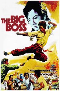 poster of The Big Boss
