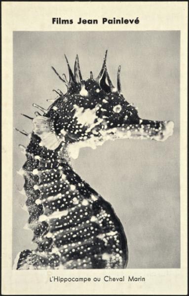 poster of {{ CONCERT.TITLE }}