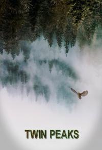 poster of Twin Peaks